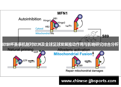 欧联杯赛事机制对欧洲及全球足球发展推动作用与影响研究综合分析